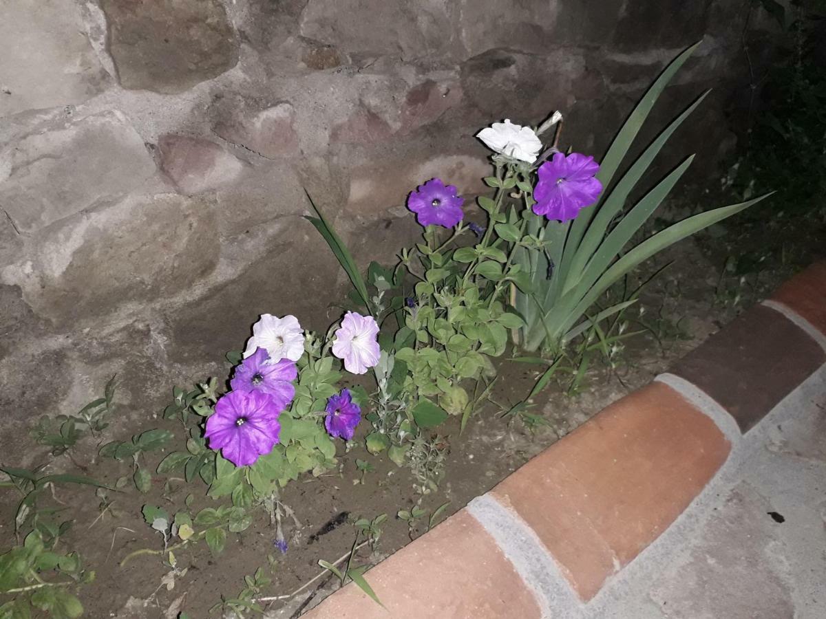 Hotel Rabati Akhaltsikhe  Exterior foto